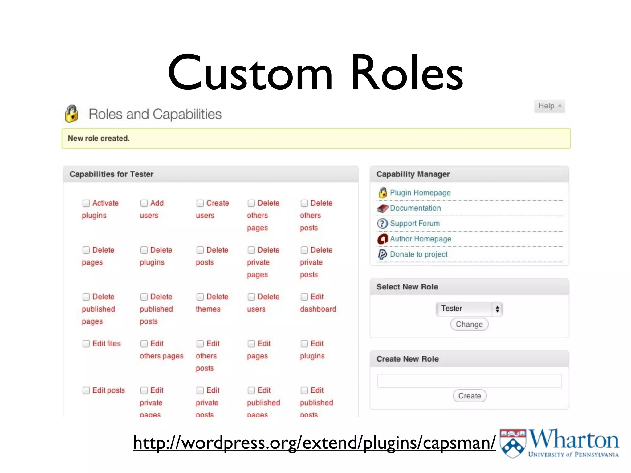 Custom Roles




http://wordpress.org/extend/plugins/capsman/
 