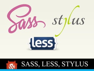 SASS, LESS, STYLUS
 