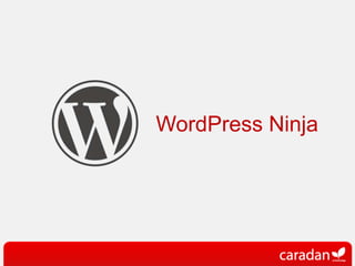 WordPress Ninja 