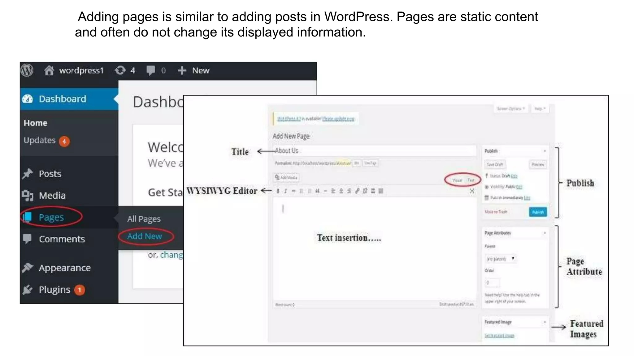 Adding pages is similar to adding posts in WordPress. Pages are static content
and often do not change its displayed information.
 