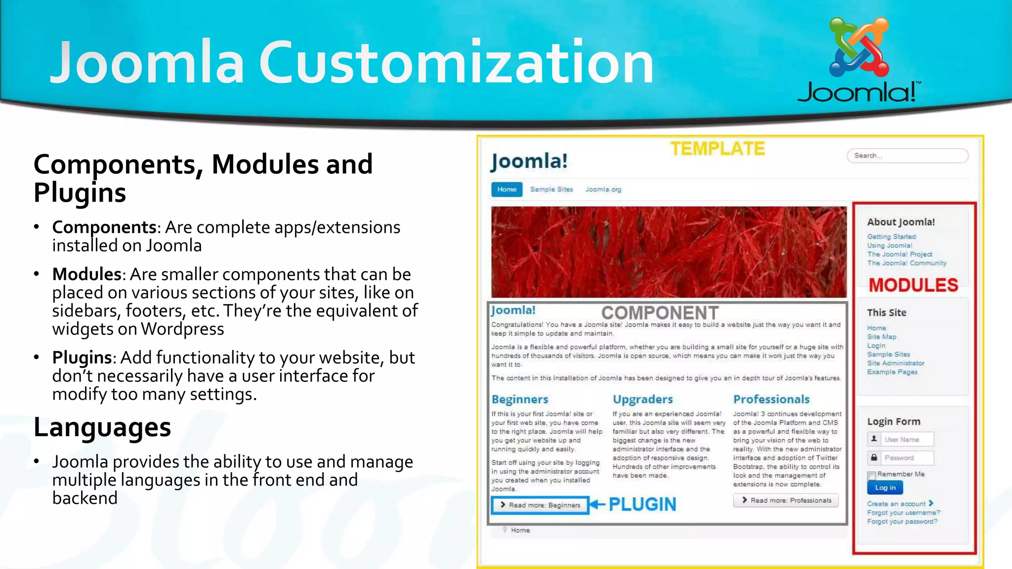 Components, Modules and
Plugins
• Components: Are complete apps/extensions
installed on Joomla
• Modules:Are smaller components that can be
placed on various sections of your sites, like on
sidebars, footers, etc.They’re the equivalent of
widgets onWordpress
• Plugins:Add functionality to your website, but
don’t necessarily have a user interface for
modify too many settings.
Languages
• Joomla provides the ability to use and manage
multiple languages in the front end and
backend
 