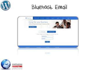 Bluehost Email
 