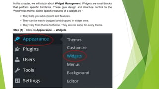 Word press  widget management