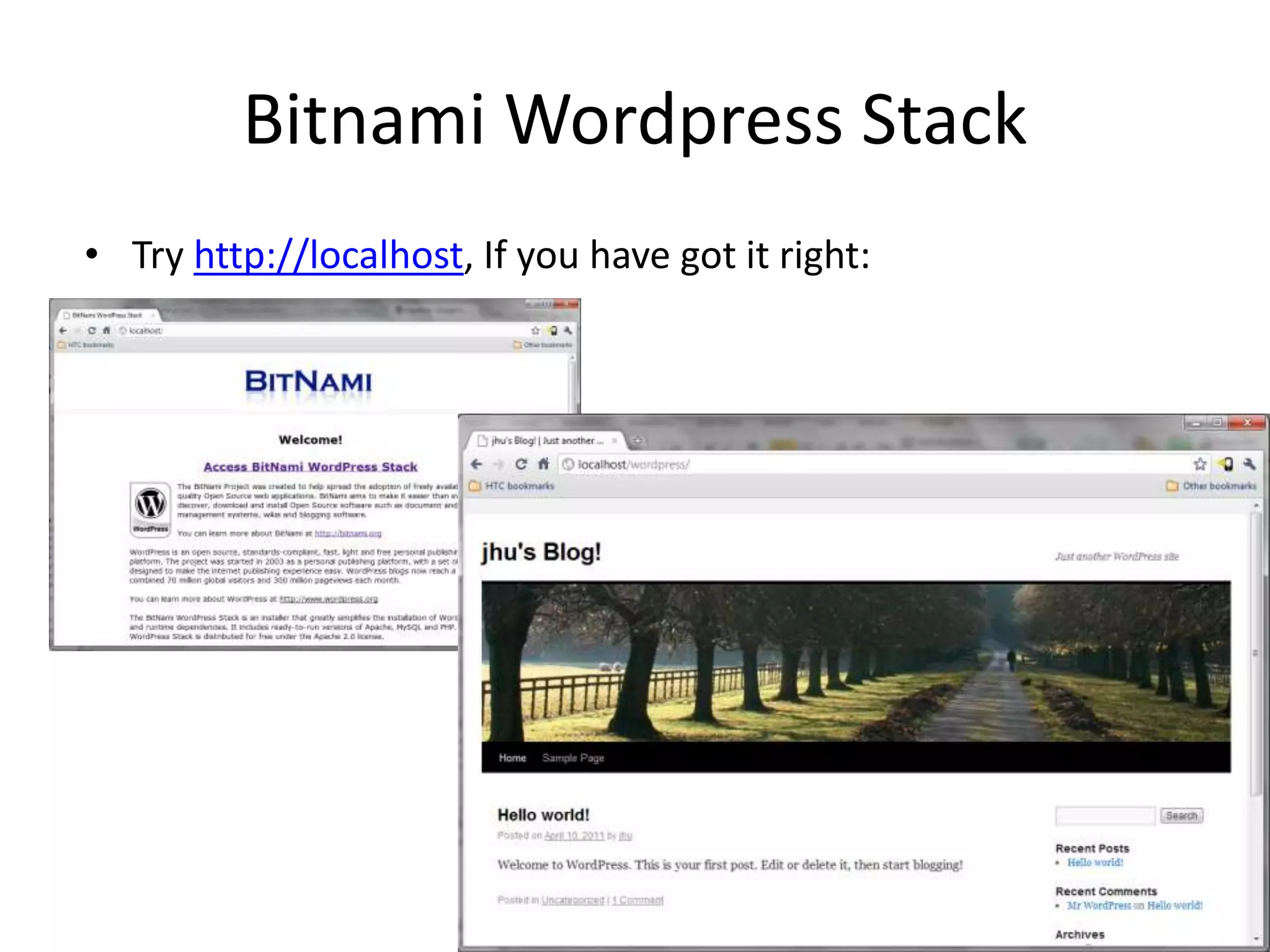 BitnamiWordpress StackTry http://localhost, If you have got it right: