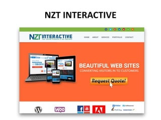 NZT INTERACTIVE
 