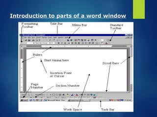 Introduction to parts of a word window
 