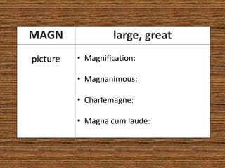 MAGN               large, great
picture   • Magnification:

          • Magnanimous:

          • Charlemagne:

          • Magna cum laude:
 