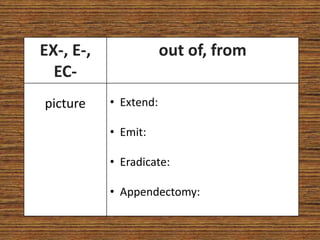 EX-, E-,               out of, from
  EC-
picture    • Extend:

           • Emit:

           • Eradicate:

           • Appendectomy:
 