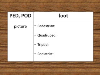 PED, POD                   foot
 picture   • Pedestrian:

           • Quadruped:

           • Tripod:

           • Podiatrist:
 