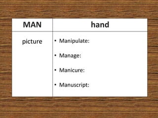 MAN                       hand
picture   • Manipulate:

          • Manage:

          • Manicure:

          • Manuscript:
 