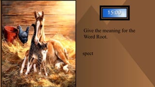 To look or see
Give the meaning for the
Word Root.
spect