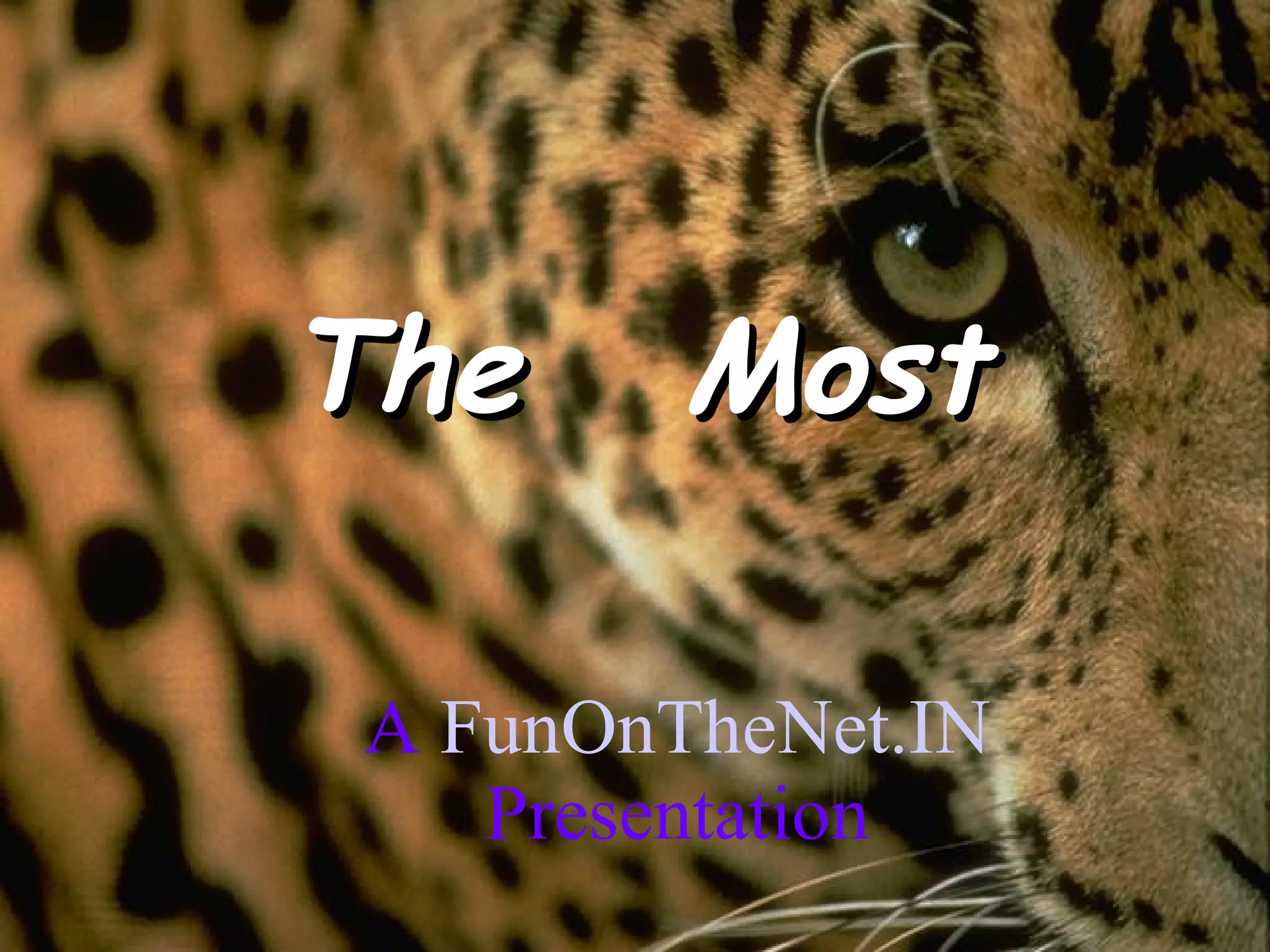 The Most A FunOnTheNet.IN Presentation