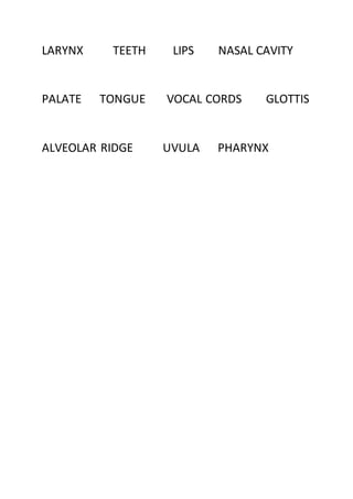 LARYNX TEETH LIPS NASAL CAVITY
PALATE TONGUE VOCAL CORDS GLOTTIS
ALVEOLAR RIDGE UVULA PHARYNX
 