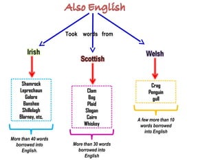 Took words from




     Shamrock                                     Crag
    Leprechaun               Clam                Penguin
       Galore                 Bog                  gull
      Banshee                Plaid
     Shillelagh             Slogan
    Blarney, etc.            Cairn          A few more than 10
                            Whiskey          words borrowed
                                                into English
More than 40 words
  borrowed into        More than 30 words
     English.            borrowed into
                             English
 