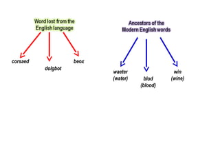 corsaed             beox
          dolgbot
                           waeter               win
                           (water)     blod    (wine)
                                     (blood)
 