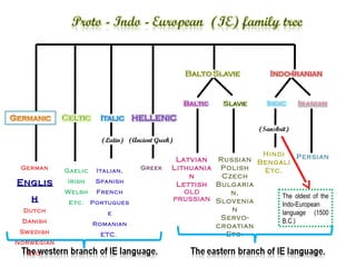 (Sanskrit)
                       (Latin) (Ancient Greek)

                                                                Hindi
                                              Latvian  Russian Bengali Persian
 German     Gaelic    Italian,     Greek     Lithuania Polish   Etc.
                                                 n      Czech
Englis      Irish     Spanish
                                              Lettish Bulgaria
            Welsh     French                    OLD       n,
    h                                        PRUSSIAN Slovenia       The oldest of the
             Etc.    Portugues                                       Indo-European
  Dutch                                                   n          language (1500
                         e
 Danish
                                                       Servo-        B.C.)
                     Romanian                         croatian
 Sw edish              ETC.                              Etc.
Norwegian
   Etc.
 