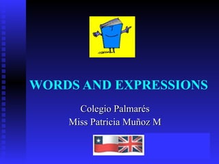 WORDS AND EXPRESSIONS Colegio Palmarés Miss Patricia Muñoz M 