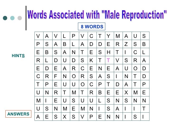 buzzword bingo generator