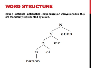 WORD STRUCTURE
nation - national - nationalize - nationalization Derivations like this
are standardly represented by a tree.
 