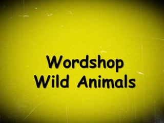 Wordshop
Wild Animals
 