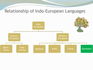 Relationship of Indo-European Languages

                            Indo-
                          European


          Eastern                               Western
         European                              European


Balto-           Indo-
                           Hellenic   Italic              Celtic   Germanic
Slavic          Iranian
 