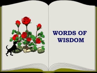 WORDS OF  WISDOM 