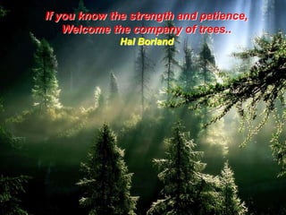 If you know the strength and patience,
Welcome the company of trees..
Hal Borland

 