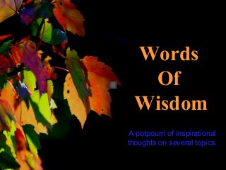 Words
Of
Wisdom

♫ Turn on your speakers!

CLICK TO ADVANCE SLIDES

A potpourri of inspirational
thoughts on several topics.

 