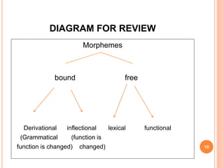 DIAGRAM FOR REVIEW
10
Morphemes
bound free
Derivational inflectional lexical functional
(Grammatical (function is
function is changed) changed)
 