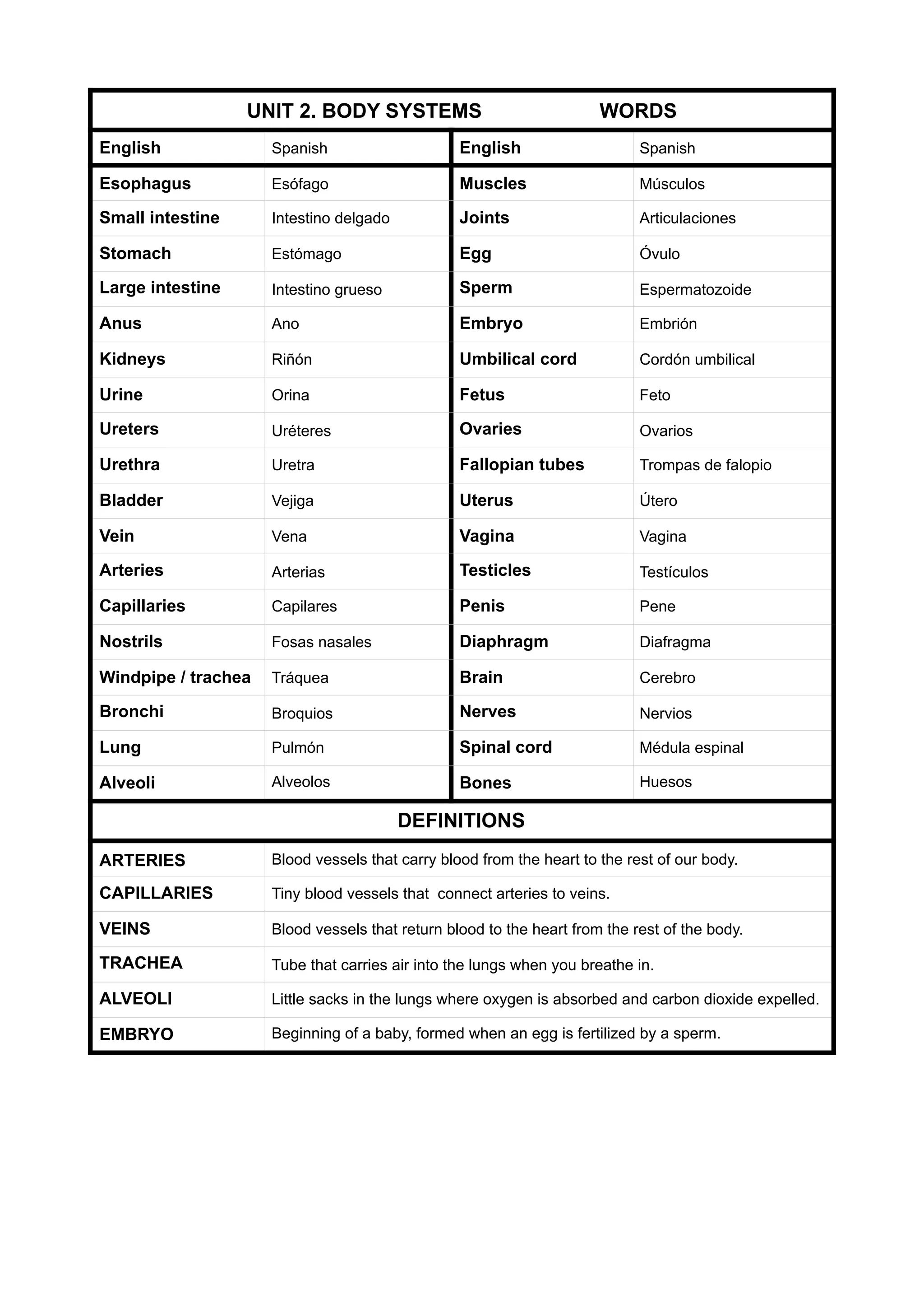 Words unit 2 body systems | PDF