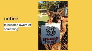 notice
to become aware of
something