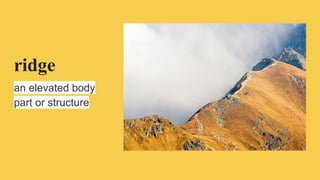 ridge
an elevated body
part or structure