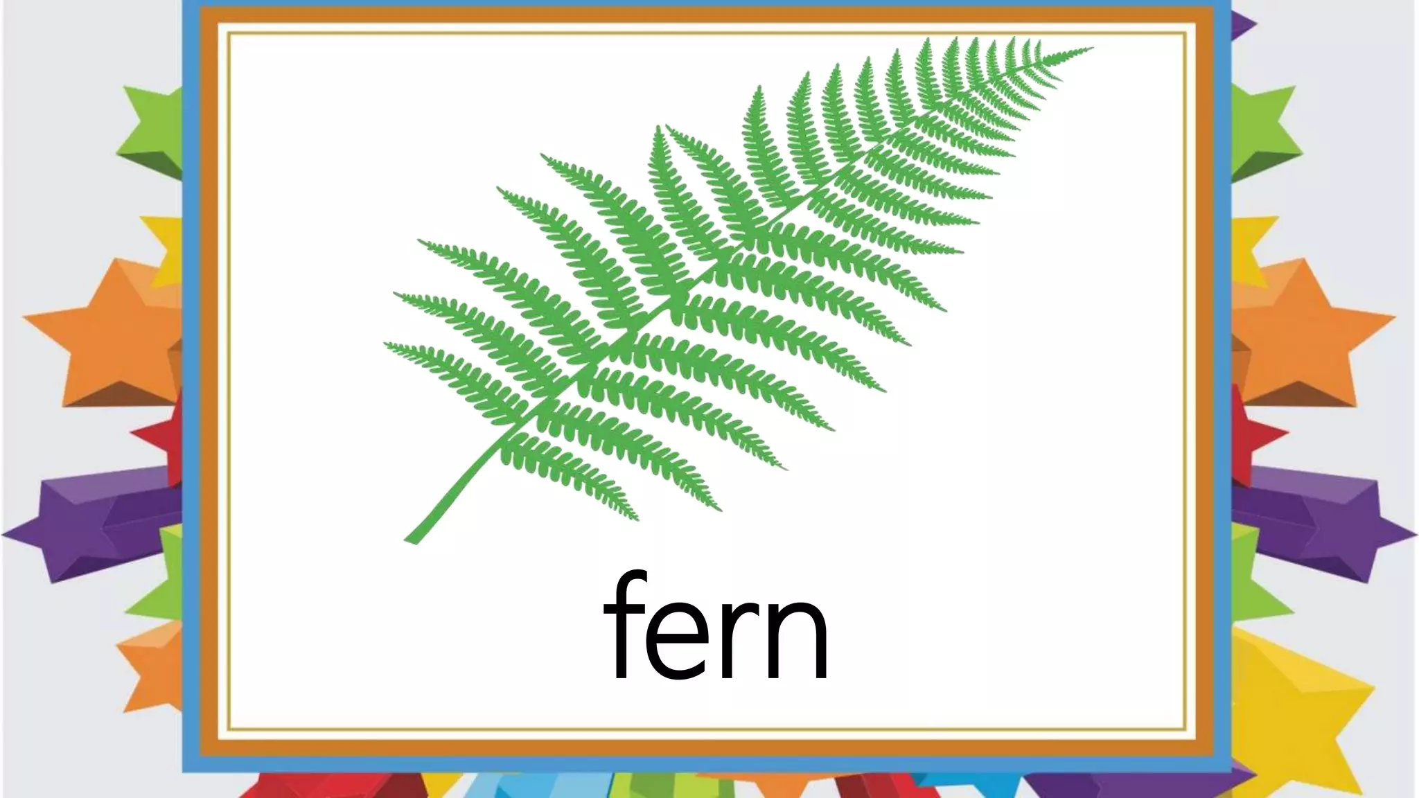 Words with the Final rd, -rk, -rm, -rn, -rp, and -rt Blends | PPTX