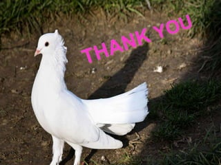 Wordsworth coleridge poetic create :comparison