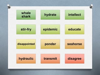 whale
shark
hydrate intellect
stir-fry epidemic educate
disappointed ponder seahorse
hydraulic transmit disagree
 