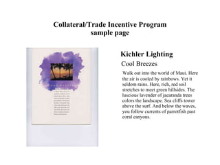 Collateral/Trade Incentive Program sample page ,[object Object],[object Object],[object Object]