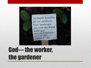 God--- the worker,
the gardener
 