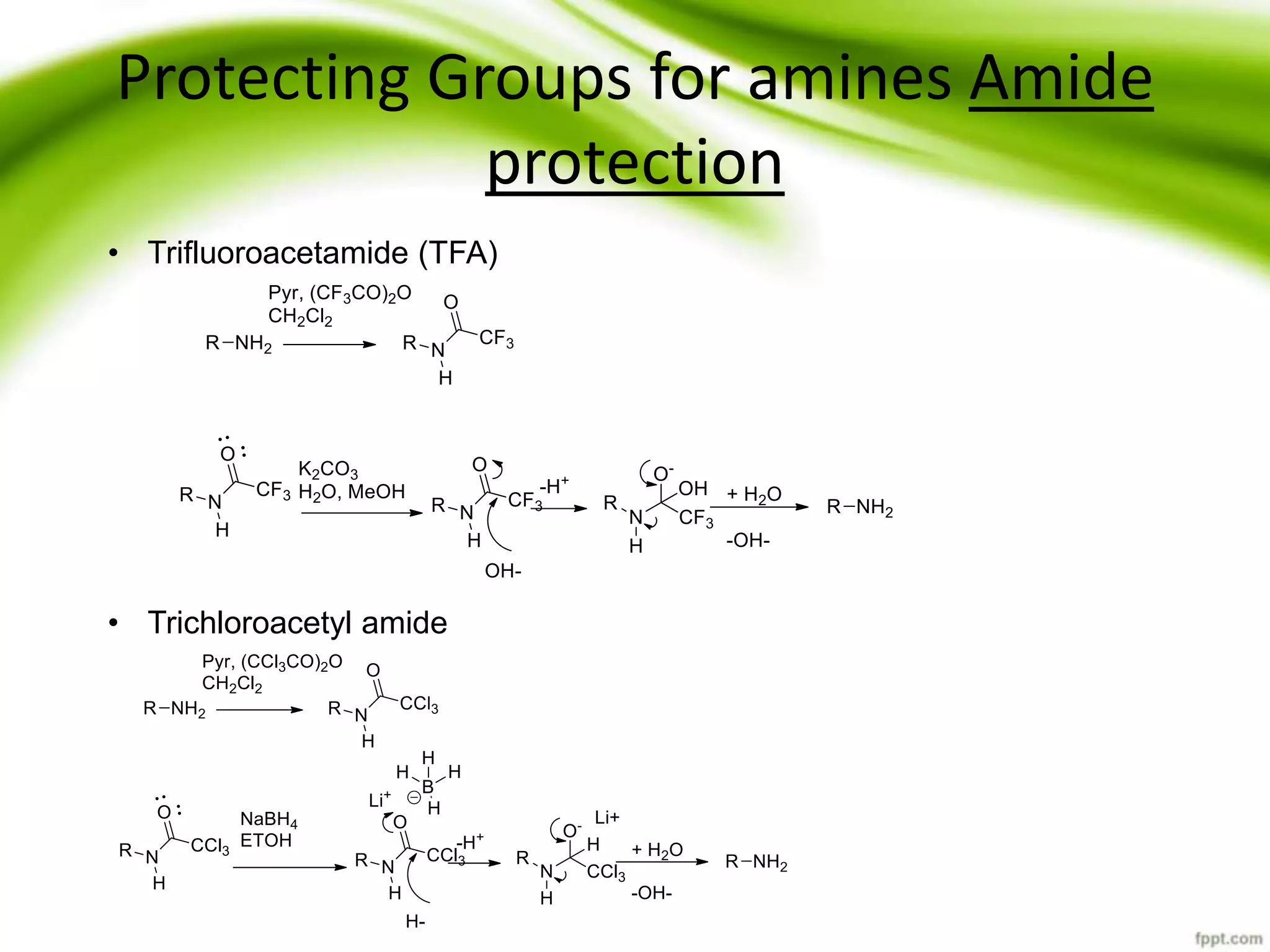 Protecting Aye Ayes: Understanding Their Predators Is Key - 6ck7jht