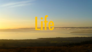 Life
 