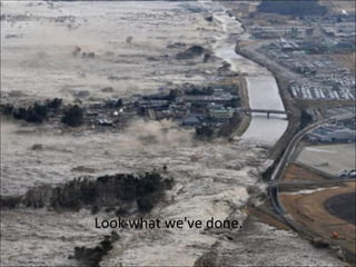 Look what we've done.