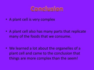 • A plant cell is very complex

• A plant cell also has many parts that replicate
  many of the foods that we consume.

• We learned a lot about the organelles of a
  plant cell and came to the conclusion that
  things are more complex than the seem!
 