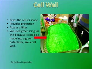 •   Gives the cell its shape
•   Provides protection
•   Acts as a filter
•   We used green icing for
    this because it could be
    made into a green
    outer layer, like a cell
    wall.




     By Nathan Lingenfelter
 