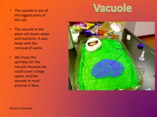 • The vacuole is one of
  the biggest parts of
  the cell.

• The vacuole in the
  plant cell stores water
  and nutrients. It also
  helps with the
  removal of waste.

• We chose the
  sprinkles for the
  vacuole because we
  could cover a large
  space, and the
  vacuole in most
  pictures is blue.




Braxton Giavedoni
 