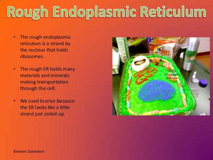 workaholics plant powerpoint function of smooth er