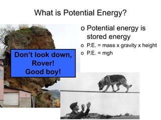 What is Potential Energy?
o Potential energy is
stored energy
o P.E. = mass x gravity x height
o P.E. = mghDon’t look down,
Rover!
Good boy!
 