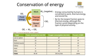 Power In Humans Work and Energy in Human Biomechanics.pptx