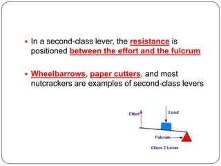  In a second-class lever, the resistance is

positioned between the effort and the fulcrum
 Wheelbarrows, paper cutters, and most

nutcrackers are examples of second-class levers

 