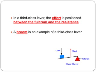  In a third-class lever, the effort is positioned

between the fulcrum and the resistance
 A broom is an example of a third-class lever

 