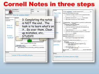 Power Notes Method Work and Power NOTES.pptx
