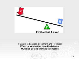 Fulcrum is between EF (effort) and RF (load) Effort moves farther than Resistance.   Multiplies EF and changes its direction  